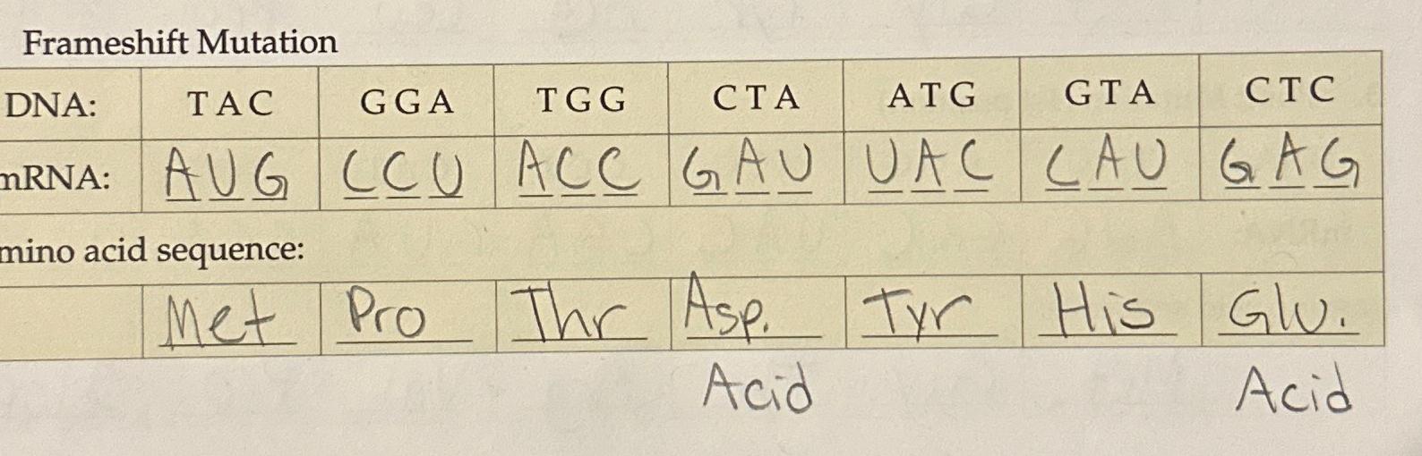 Solved Frameshift Mutationmino acid sequenceMet Pro Thr