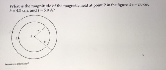 Solved What is the magnitude of the magnetic field at point | Chegg.com