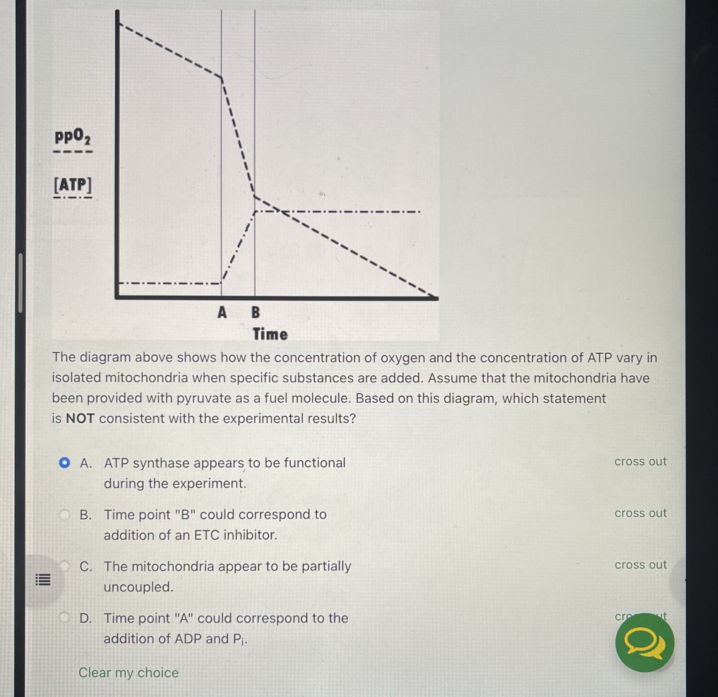Solved The diagram above shows how the concentration of | Chegg.com