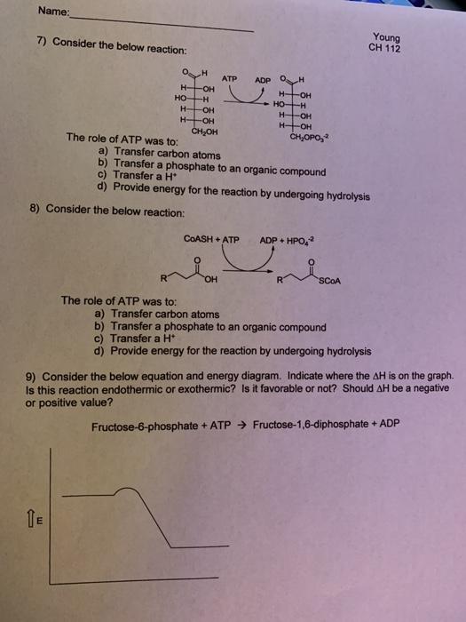 Solved Thermodynamics - Homework 1) Which of the below | Chegg.com