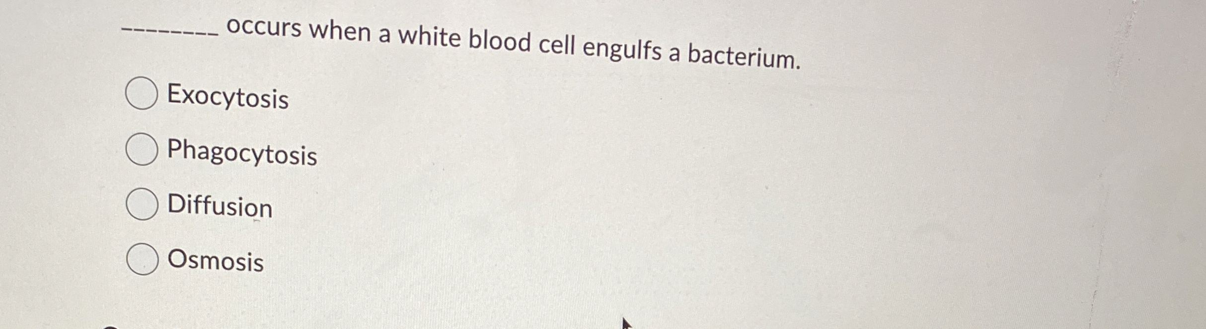 Solved occurs when a white blood cell engulfs a | Chegg.com