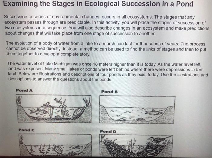 pond succession stages