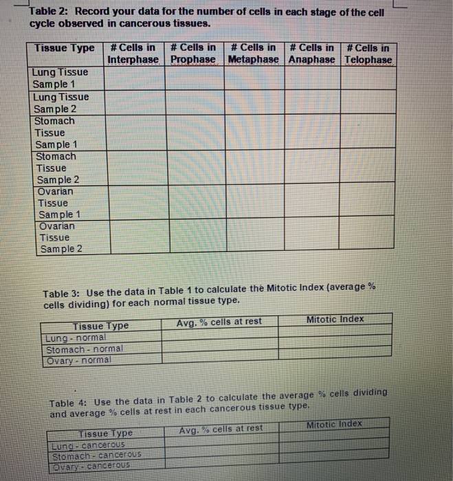 Solved Virtual Lab The Cell Cycle And Cancer Worksheet 1 Chegg Com