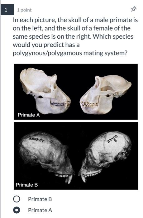 Solved 1 1 1 Point In Each Picture, The Skull Of A Male | Chegg.com