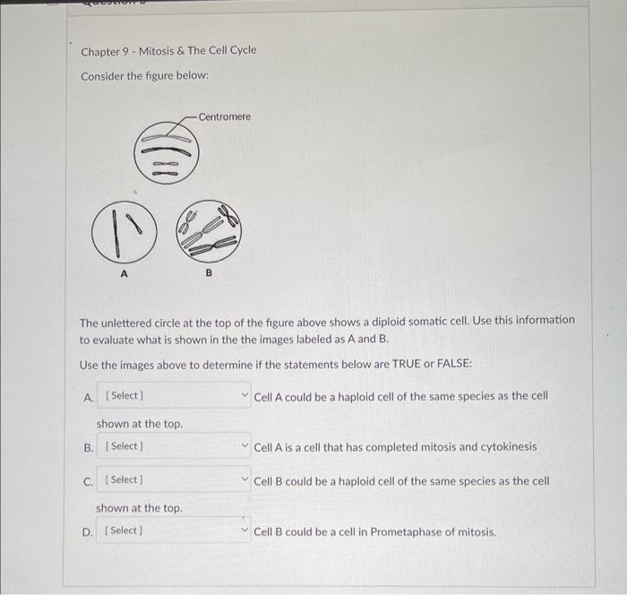 Solved Chapter 9 - Mitosis \& The Cell Cycle Consider the | Chegg.com