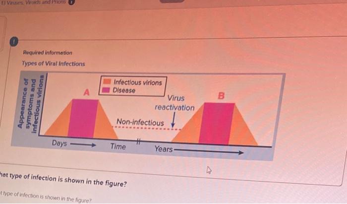 Solved hat type of infection is shown in the figure? type of | Chegg.com