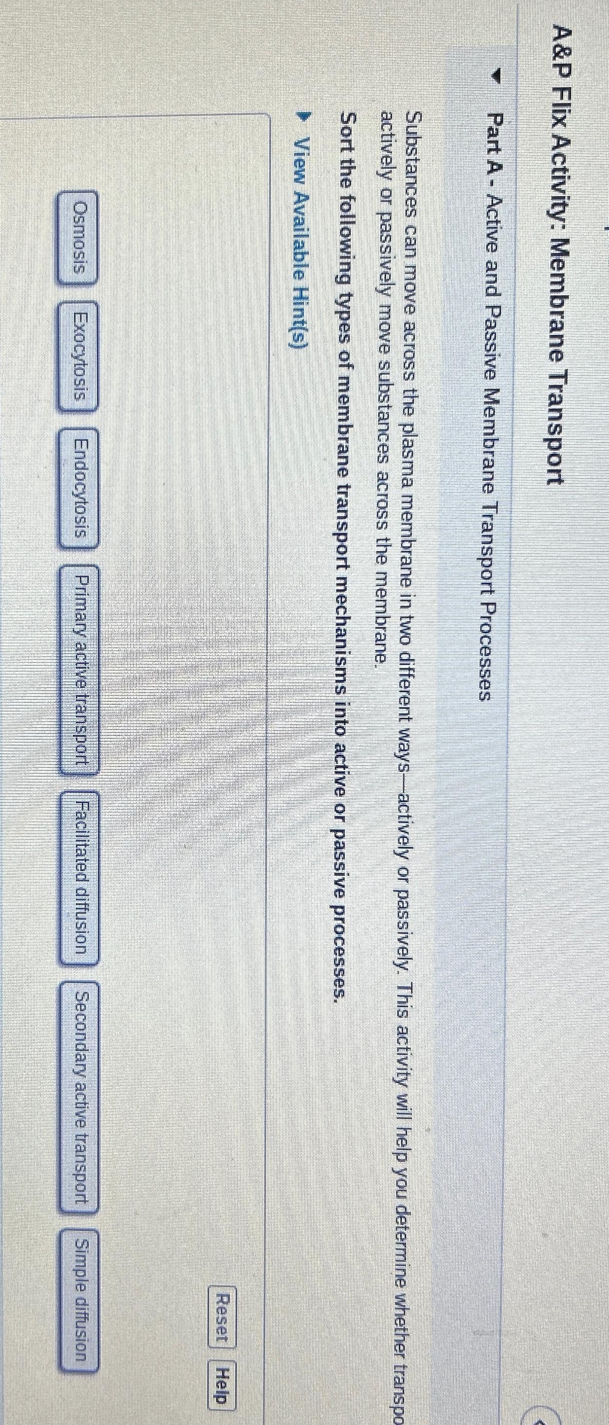 Solved A P Flix Activity Membrane Transportpart A Active Chegg Com