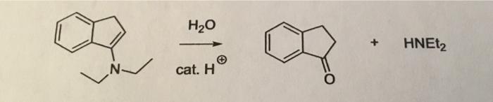 Solved H20 HNET2 N cat. H o | Chegg.com