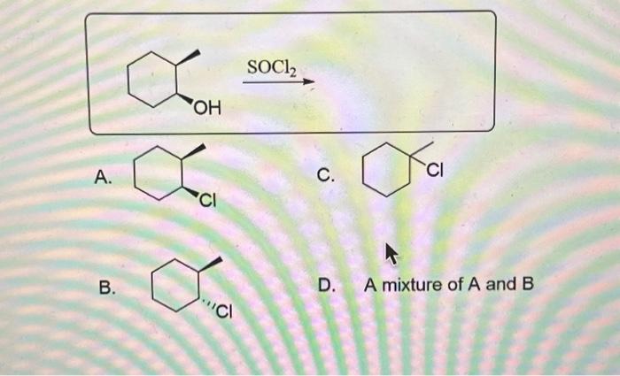 Solved What Is The Major Product Obtained From The Following | Chegg.com