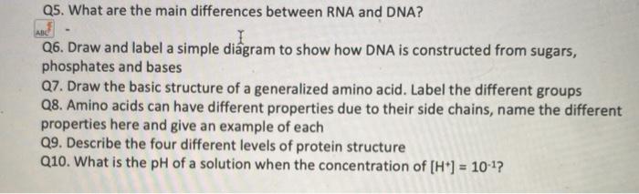 Solved ABC Q5. What are the main differences between RNA and | Chegg.com