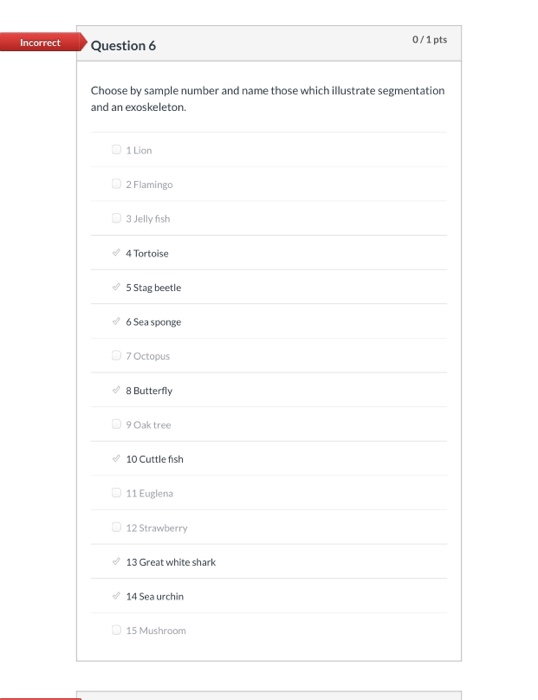 Partial Question Pts Using The Sample Images Chegg Com