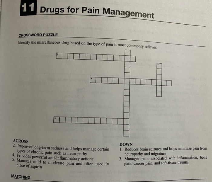 Solved 11 Drugs for Pain Management CROSSWORD PUZZLE Chegg com
