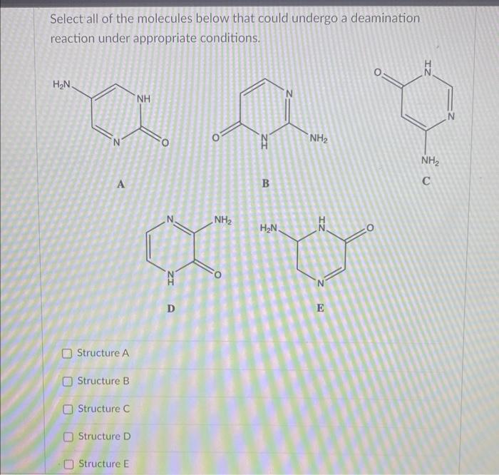Solved Select all of the molecules below that could undergo | Chegg.com