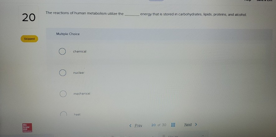 Solved The reactions of human metabolism utilize the energy | Chegg.com