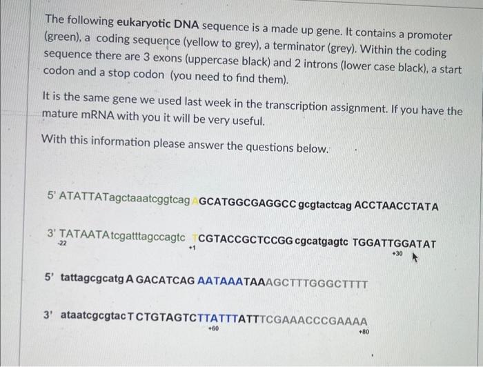 Solved LO34 Translate a sequence of amino acids starting | Chegg.com