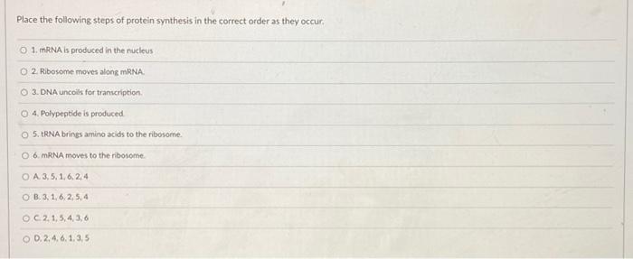 Solved Place the following steps of protein synthesis in the | Chegg.com