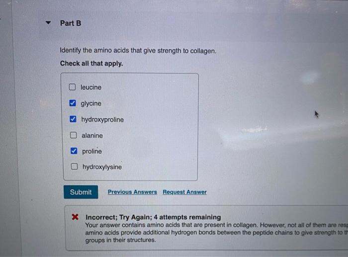 Solved Identify the amino acids that give strength to | Chegg.com