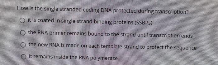 Solved How is the single stranded coding DNA protected | Chegg.com