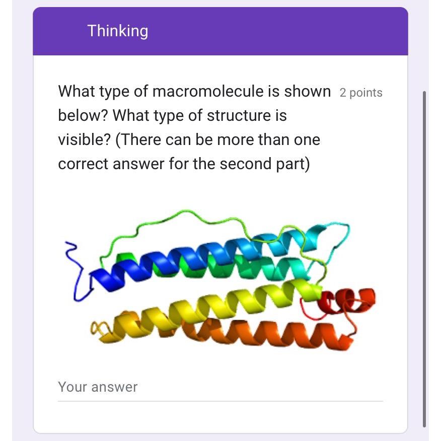 Solved Thinking1) ﻿What type of macromolecule is shown
