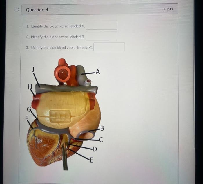 student submitted image, transcription available below