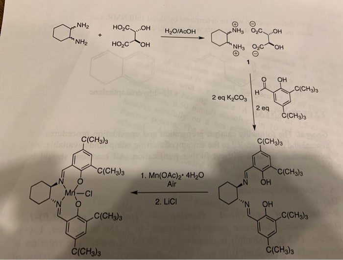 Solved Nh2 H2o Acoh Hoc Oh Hocoh Oc H Nh2 C Ch3 3 2 Eq Chegg Com