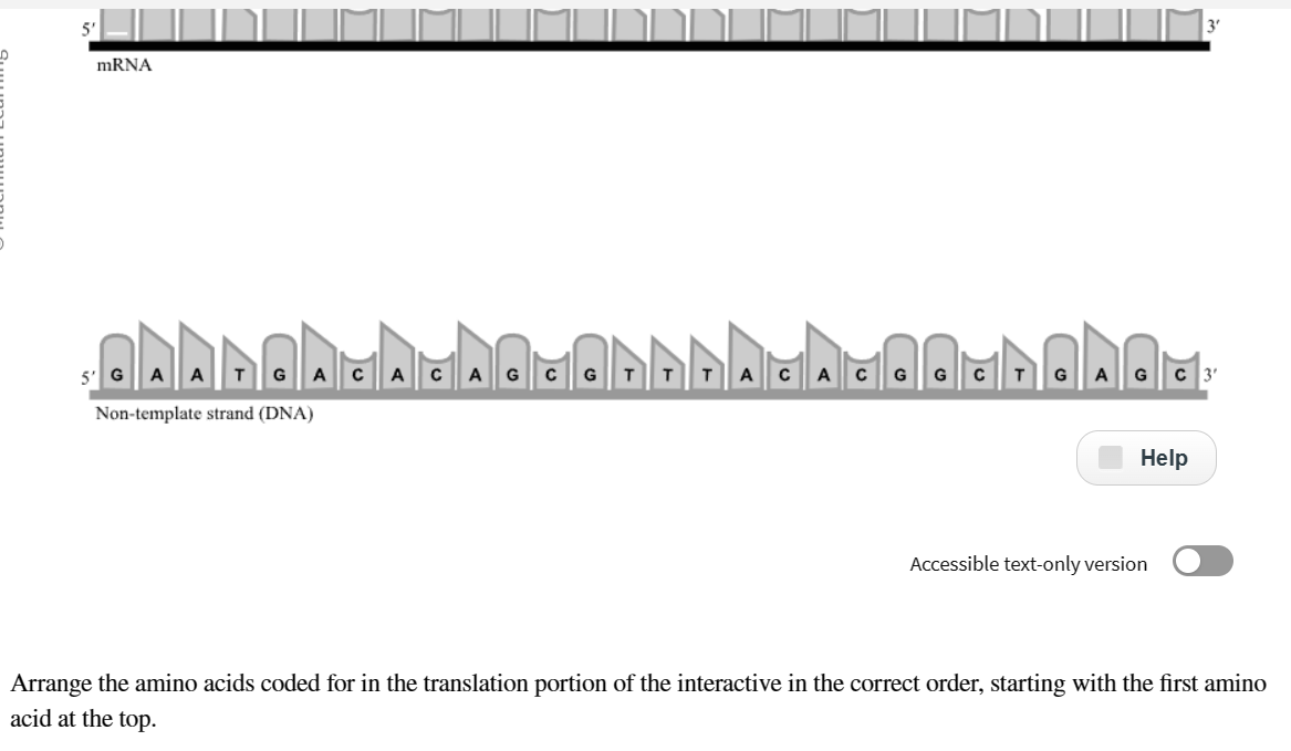 Solved Arrange the amino acids coded for in the translation