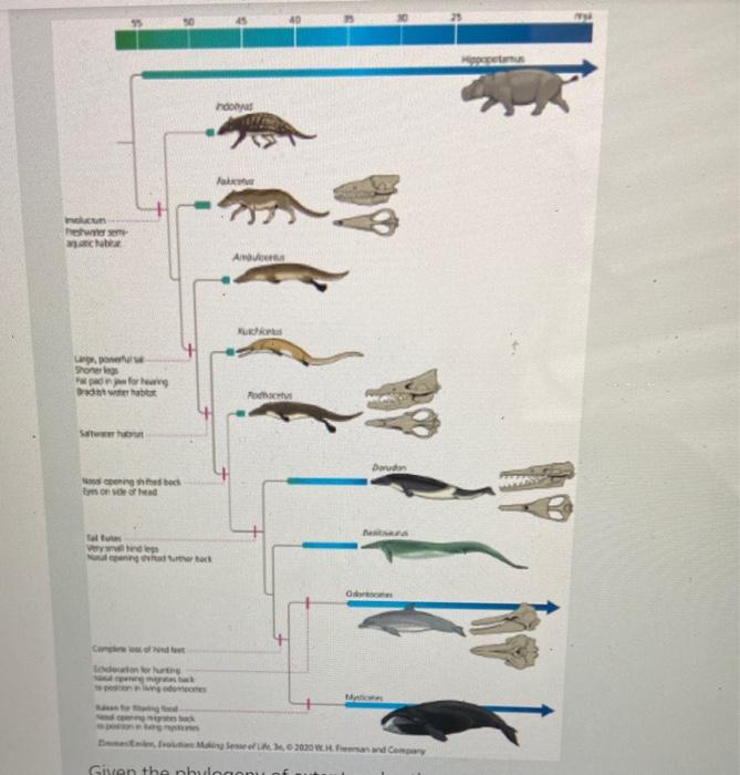 extinct-animals-that-could-come-back