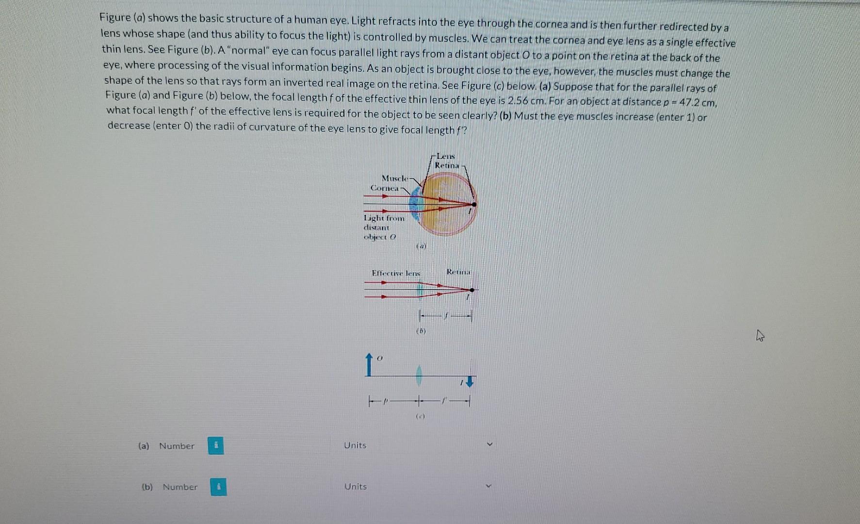 Figure (a) shows the basic structure of a human eye. Light refracts into the eye through the cornea and is then further redir