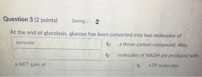 Solved Question 3 (2 Points) Saving... At The End Of | Chegg.com