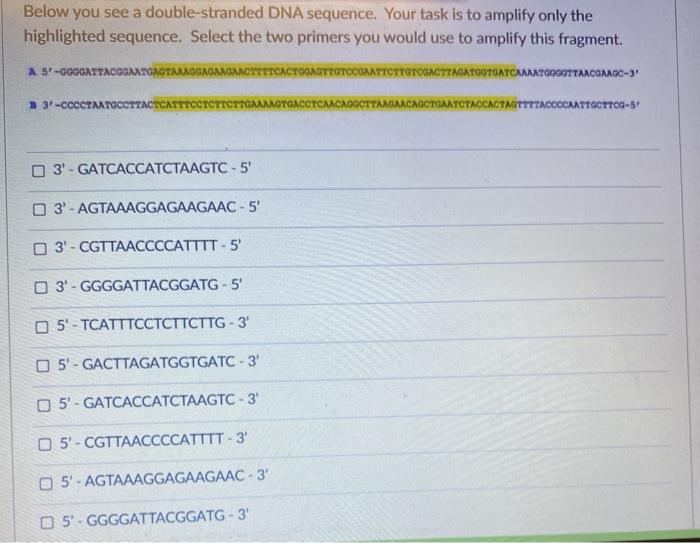 Solved Below You See A Double Stranded Dna Sequence Your