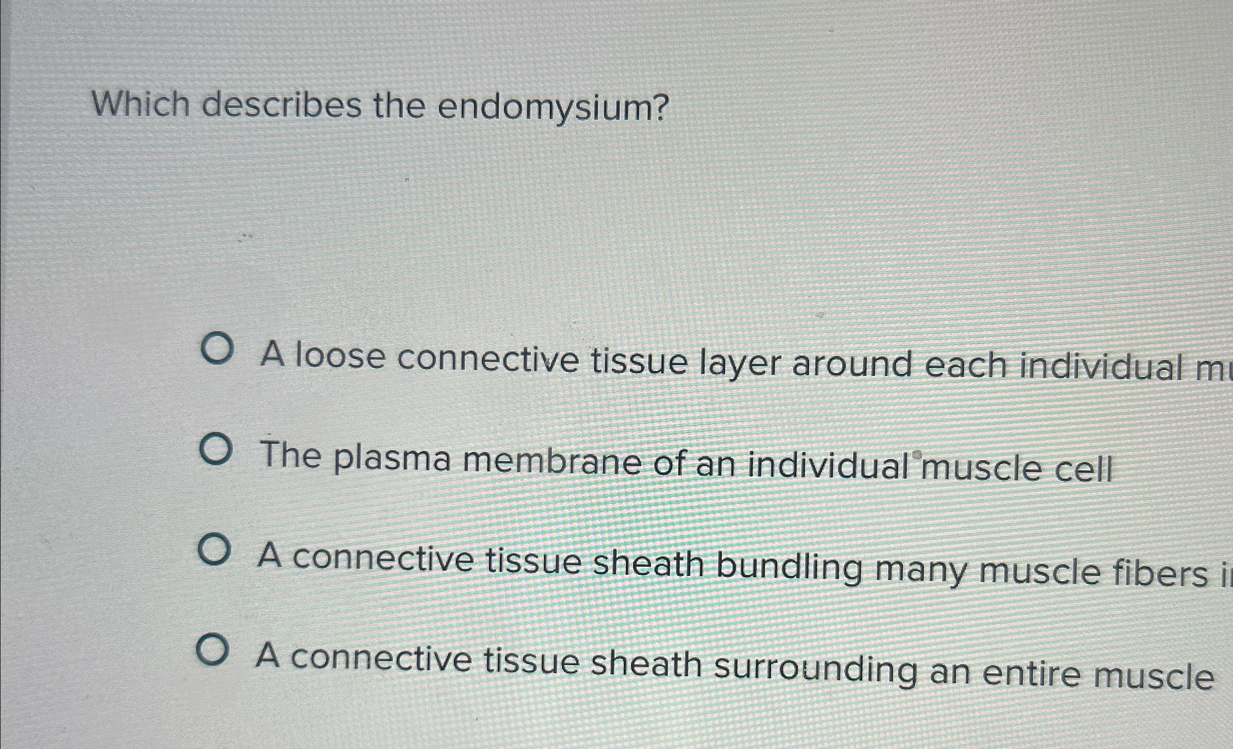 Solved Which describes the endomysium?A loose connective | Chegg.com
