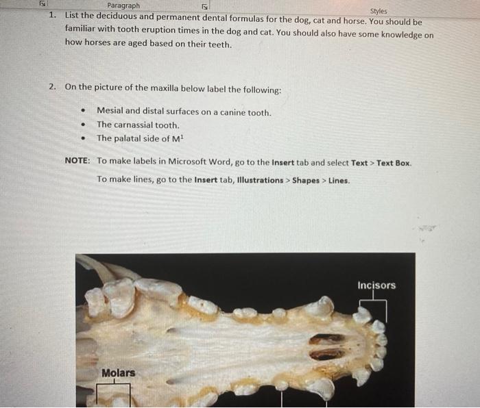 Solved Paragraph Styles 1. List the deciduous and permanent