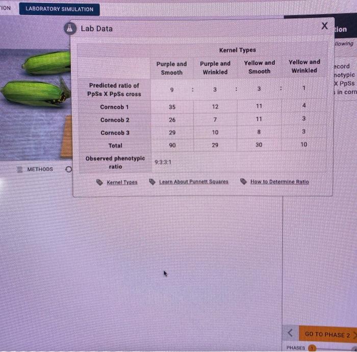 Solved the representation of the genotypic and phenotypic | Chegg.com