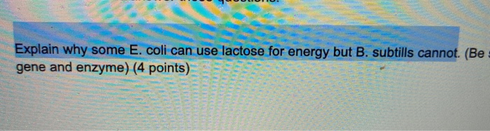 Solved Explain why some E. coli can use lactose for energy | Chegg.com