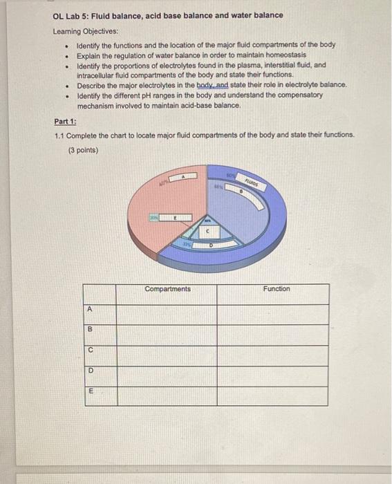 Finding pH Balance — The Holistic Health Approach