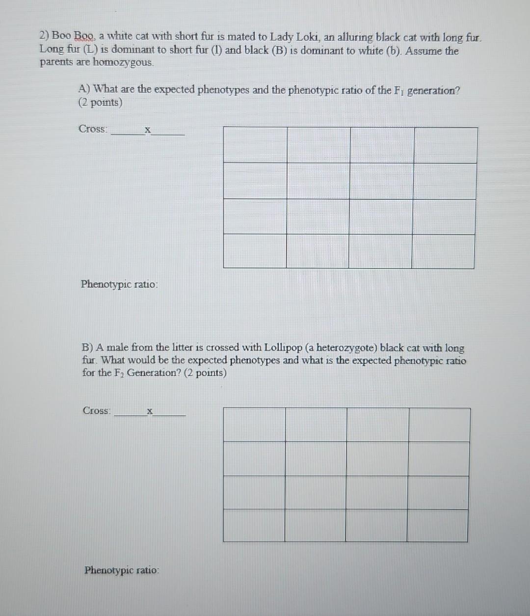 Solved Punnett Squares Worksheet To Receive Full Credit For 1465