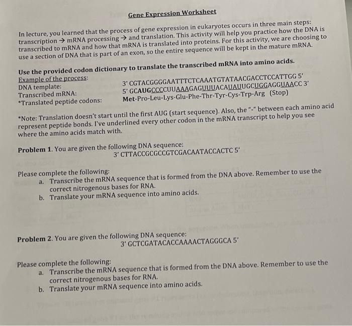 Solved Gene Expression Worksheet In lecture, you learned | Chegg.com