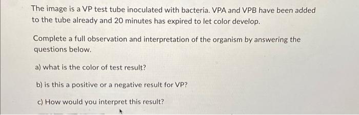 Solved The image is a VP test tube inoculated with bacteria. | Chegg.com