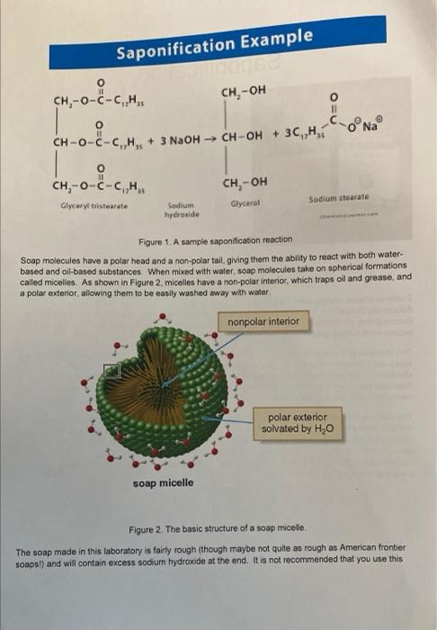 Solved 5. On the structure in question 3 , box the portion | Chegg.com