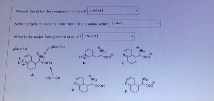 Solved What is the pl for the compound depicted? Select | Chegg.com