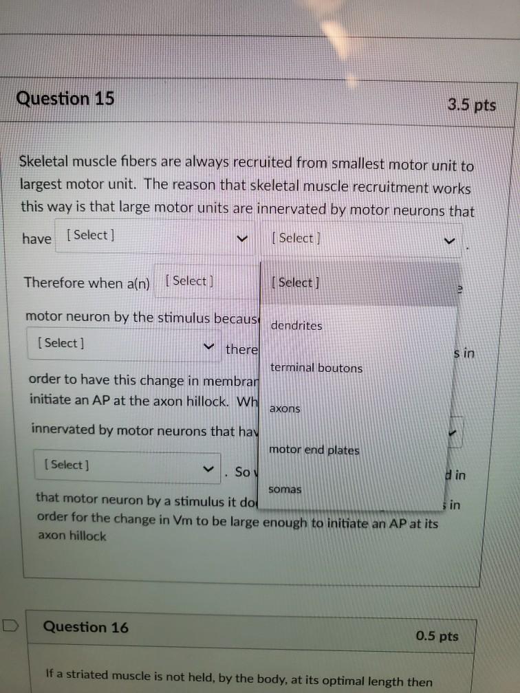 Solved Question 15 3.5 pts Skeletal muscle fibers are always | Chegg.com
