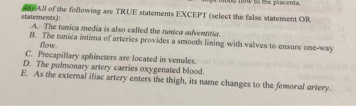 All Of The Following Are True Statements Except Solved 46) All of the following are TRUE statements EXCEPT | Chegg.com