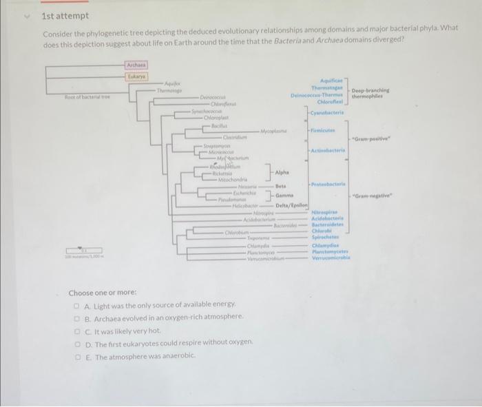 Solved Consider the phylogenetic tree depleting the deduced | Chegg.com