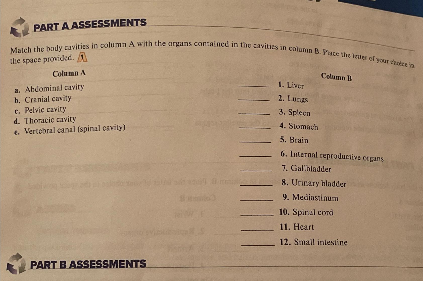 Solved PART A ASSESSMENTSMatch The Body Cavities In Column A | Chegg.com