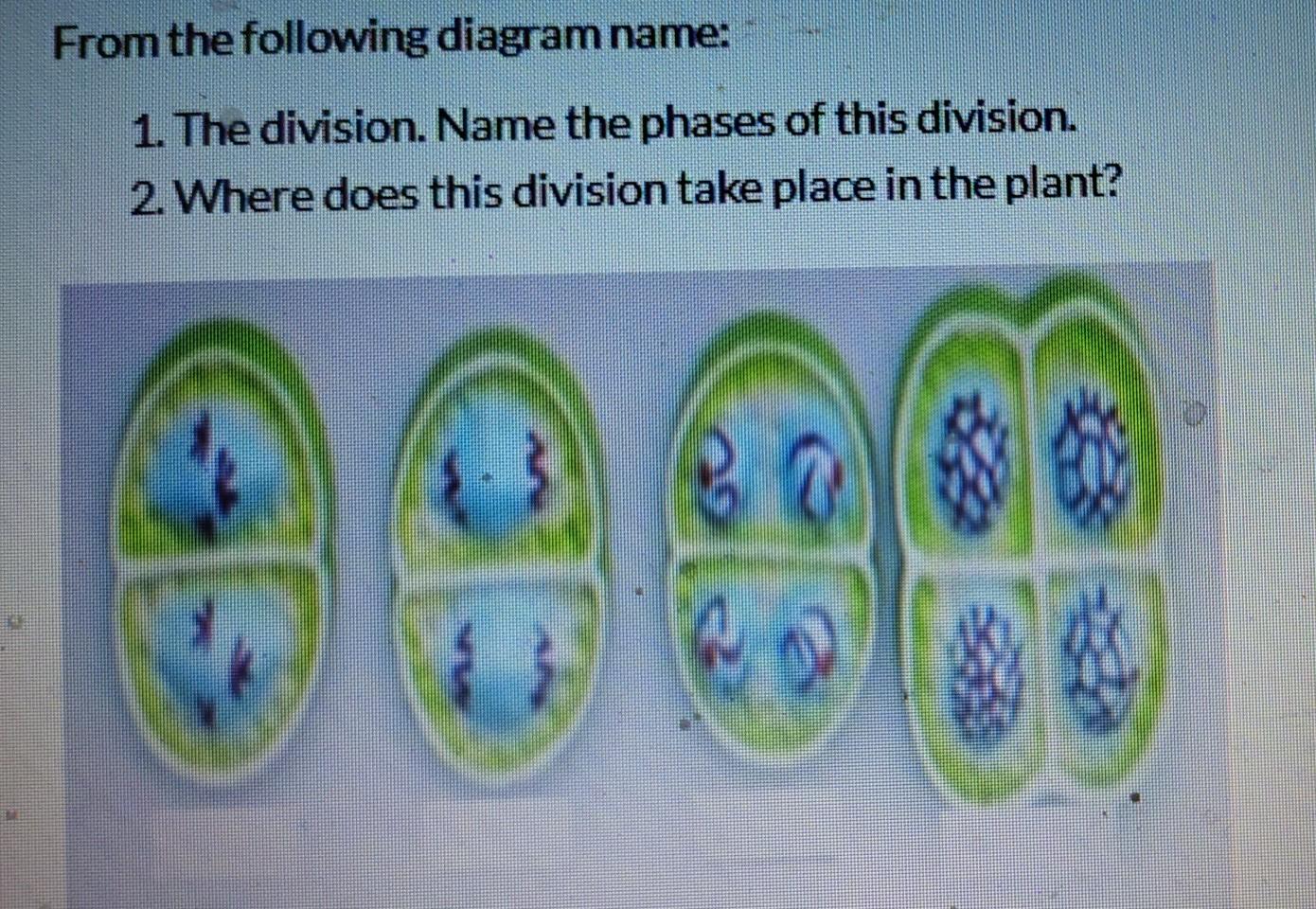 Solved The Cross Aabb X Aabb Is An Example Of What 0520