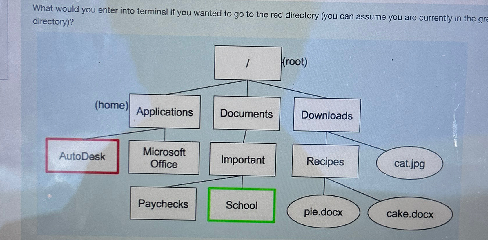 Solved What would you enter into terminal if you wanted to | Chegg.com