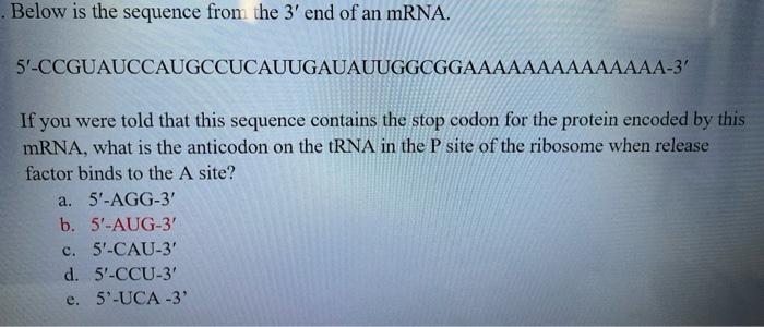 Solved . Below is the sequence from the 3' end of an mRNA. | Chegg.com