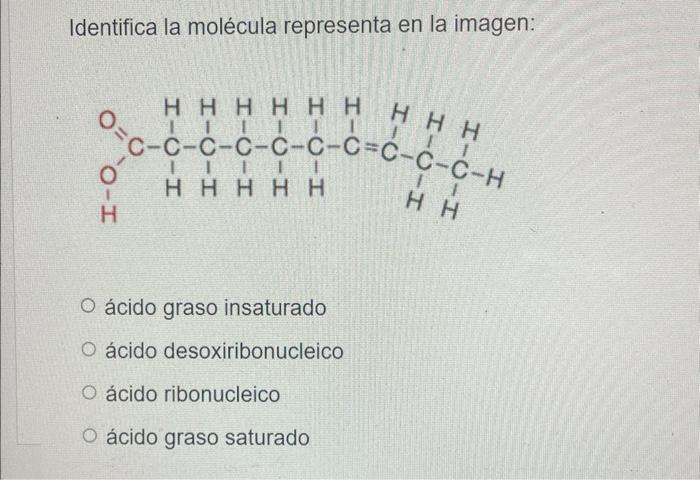 Identifica la molécula representa en la imagen: ácido graso insaturado ácido desoxiribonucleico ácido ribonucleico ácido gras