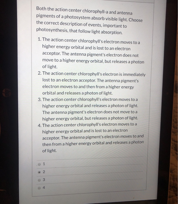 Solved Both the action center chlorophylla and antenna