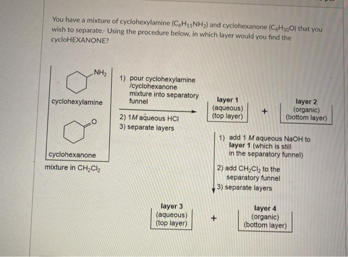 Solved You have a mixture of cyclohexylamine (CH3NH2) and | Chegg.com